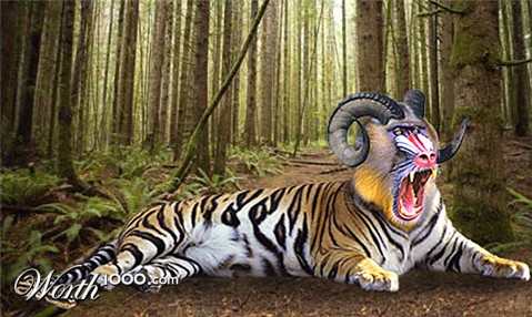 Photoshop Design by sonjalina