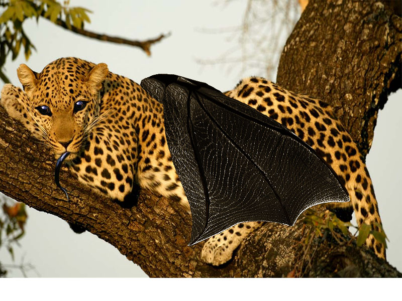 Photoshop-Design von WiseMonkey für DesignCrowd (Community Contests) | Design #9010174