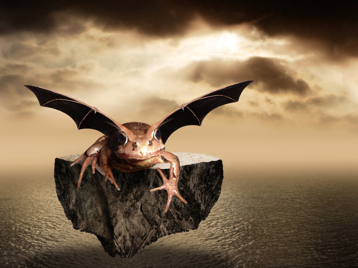 Photoshop-Design von DigitalFake für DesignCrowd (Community Contests) | Design #9010200