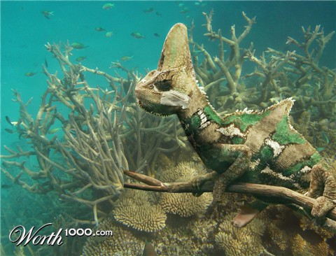 Photoshop Design by LostBritches