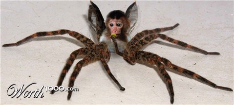 Photoshop Design by Hobbit90