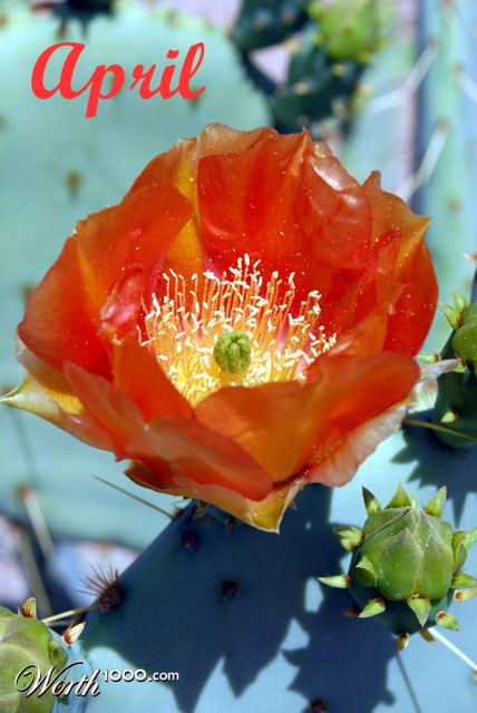 Photography by rrg239