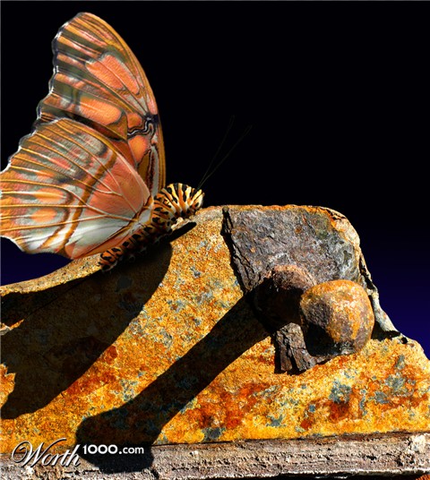 Photoshop Design by burninin