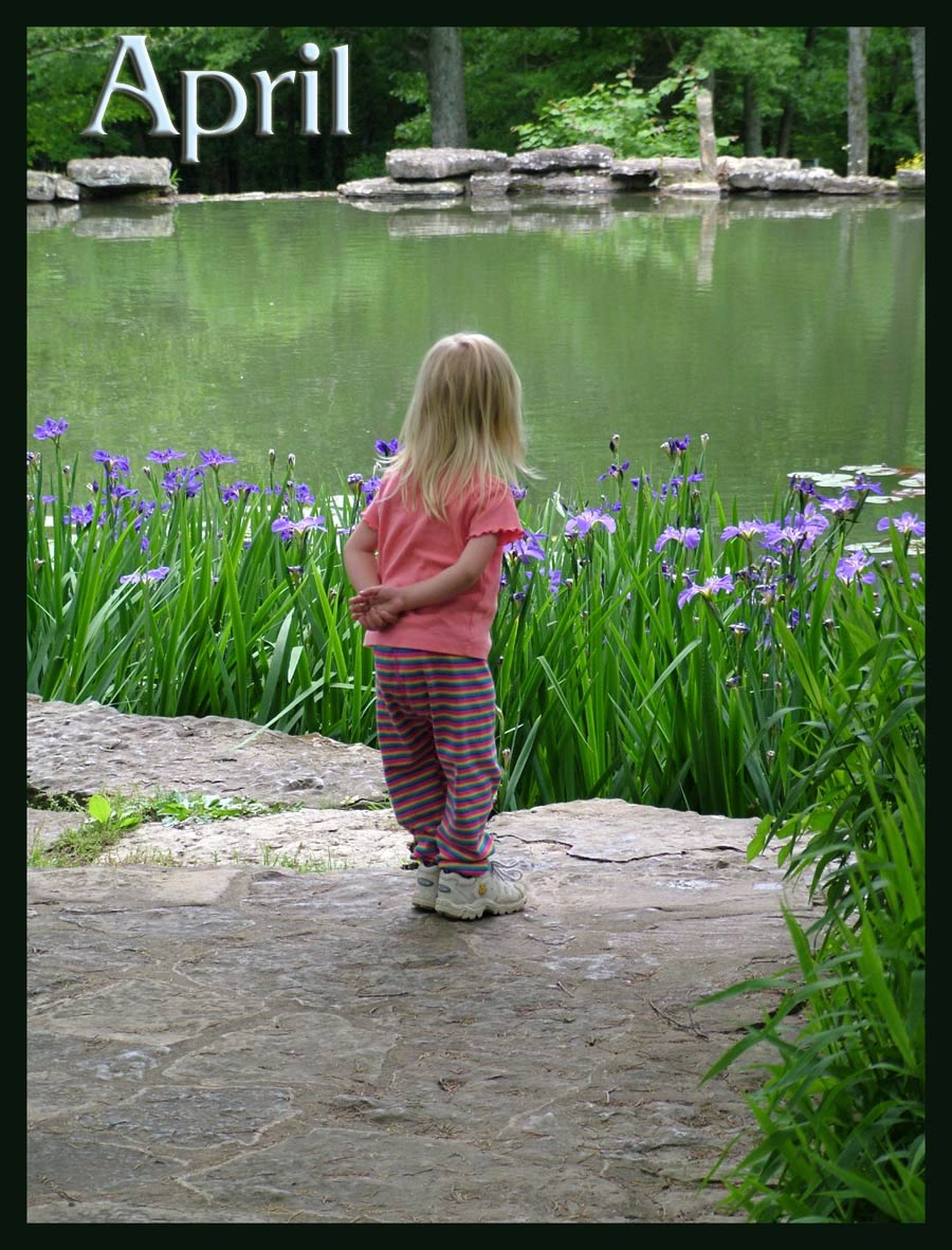 Photography by nedradio for DesignCrowd (Community Contests) | Design #9006718