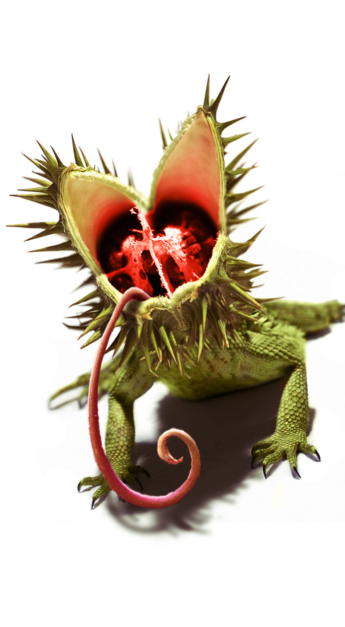 Design Photoshop par Elinorthen pour DesignCrowd (Community Contests) | Design #9010178