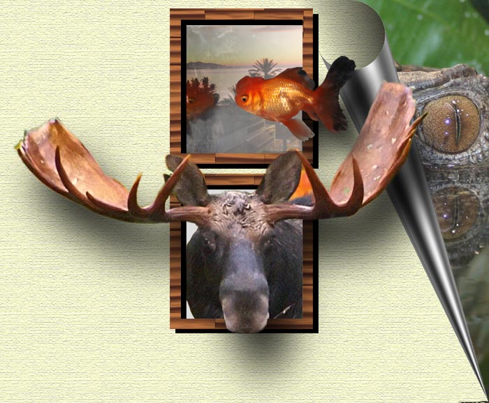 Photoshop Design by halfcutt for DesignCrowd (Community Contests) | Design #9013422