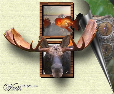 Photoshop Design by halfcutt