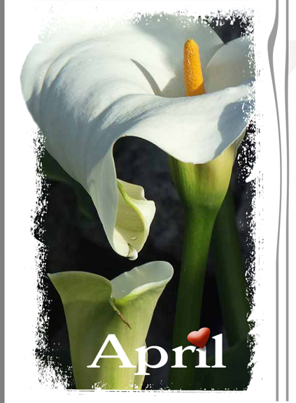 Photography by Marthese for DesignCrowd (Community Contests) | Design #9006711