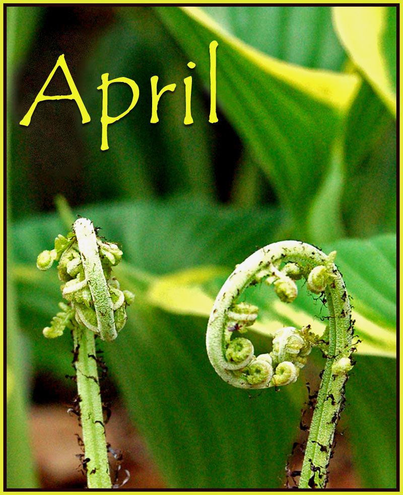 Fotografía por northman para DesignCrowd (Community Contests) | Diseño #9006724