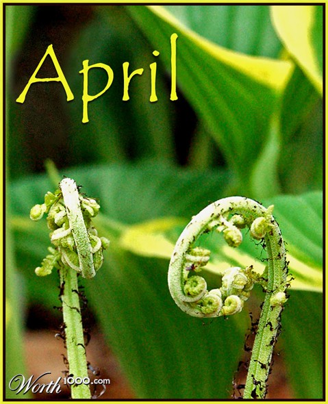 Photography by northman