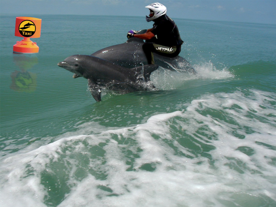 Photoshop Design by pdoggdizzle for DesignCrowd (Community Contests) | Design #9014441