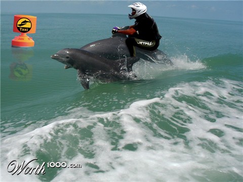 Photoshop Design by pdoggdizzle