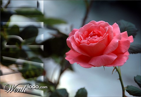 Photography by SixerHoo