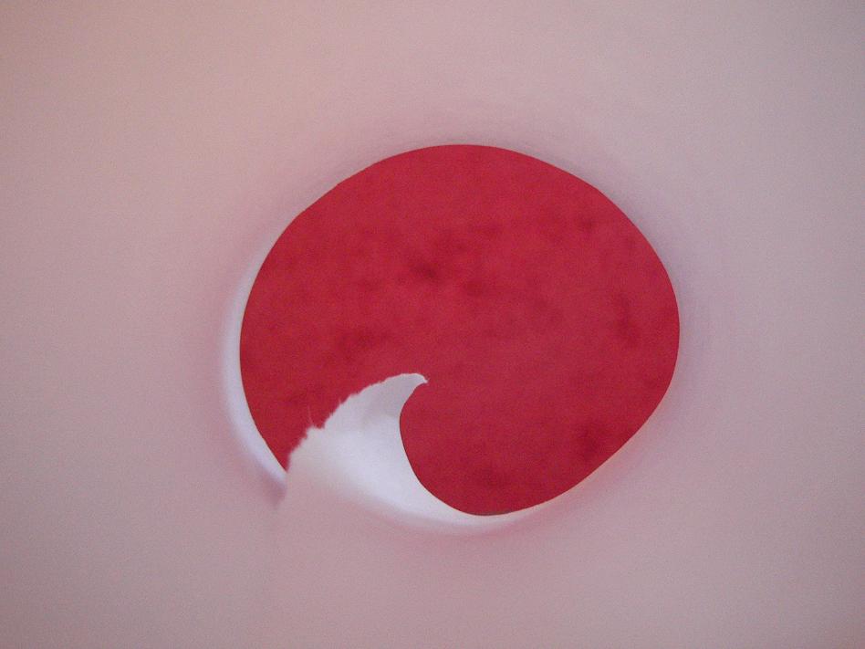 Photography by mjaumjau for DesignCrowd (Community Contests) | Design #9008587