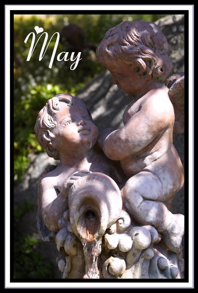 Photography by mhcork for DesignCrowd (Community Contests) | Design #9006811