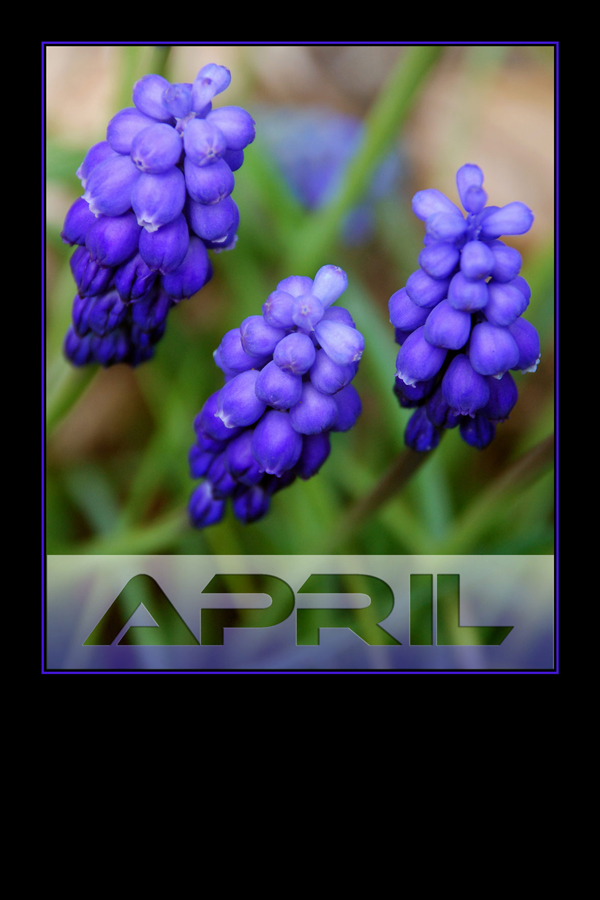 Fotografía por Bastet para DesignCrowd (Community Contests) | Diseño #9006782