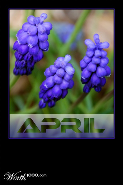 Photography by Bastet