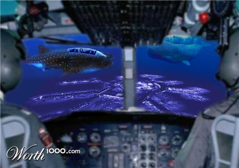 Photoshop Design by conmword