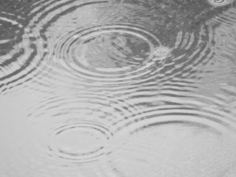 Fotografía por sockmonster para DesignCrowd (Community Contests) | Diseño #9009125