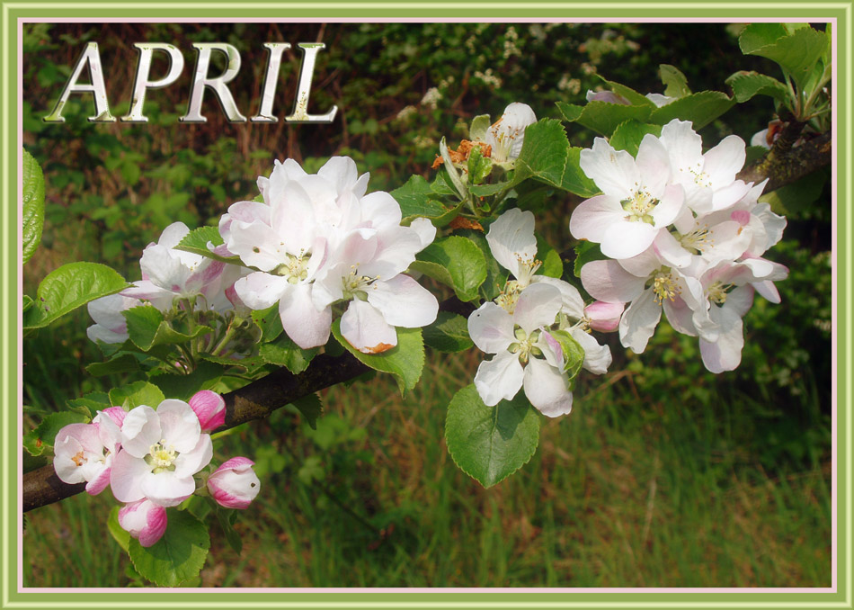 Photography by splong for DesignCrowd (Community Contests) | Design #9006889