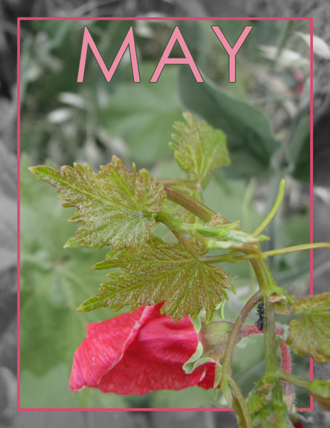 Fotografía por 770keren para DesignCrowd (Community Contests) | Diseño #9006914