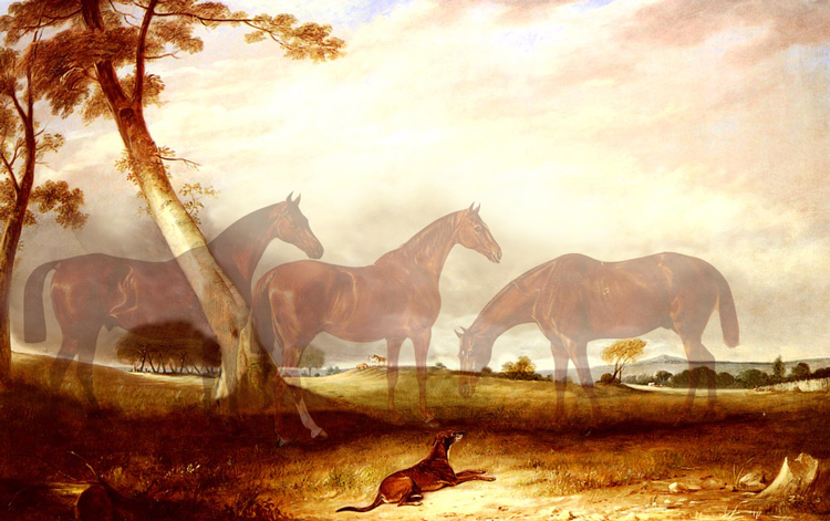 Photoshop Design by CherryPicn for DesignCrowd (Community Contests) | Design #9007965