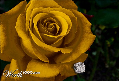 Photoshop Design by nihil666