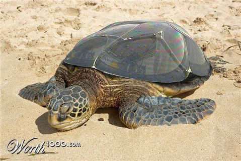 Photoshop Design by macquati