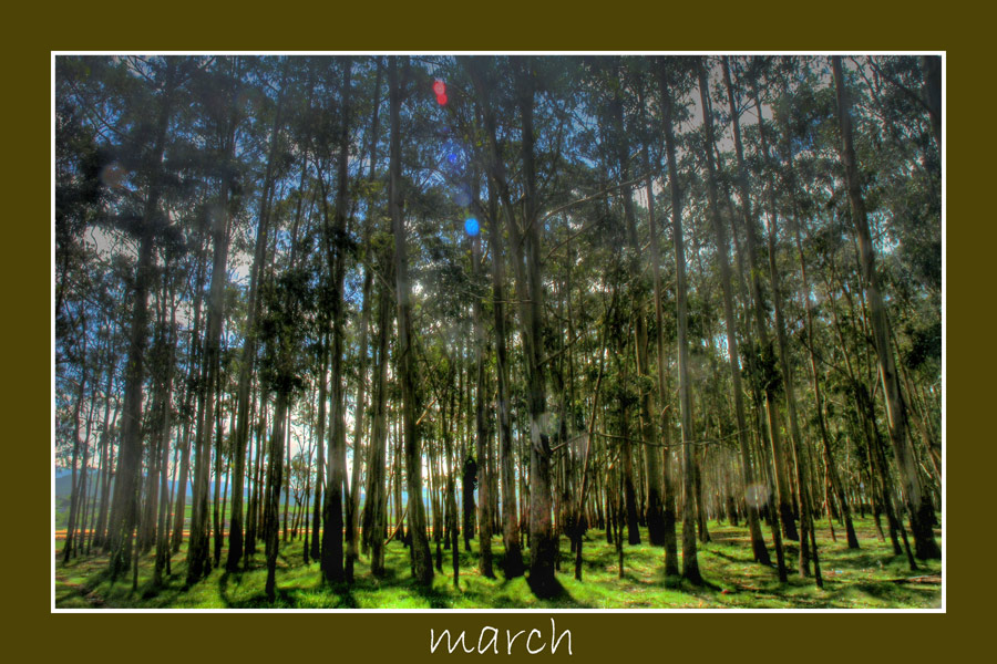 Photography by AsierReisa for DesignCrowd (Community Contests) | Design #9006845