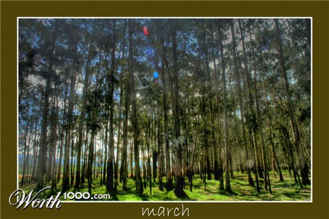 Photography by AsierReisa