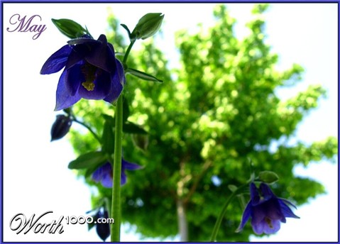 Photography by spincast1123