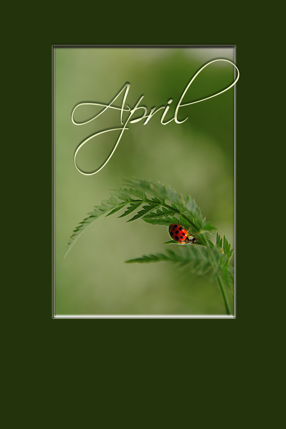 Photography by Marian for DesignCrowd (Community Contests) | Design #9006837