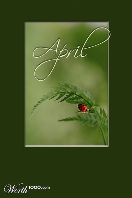 Photography by Marian