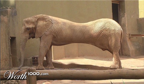 Photoshop Design by zynnya