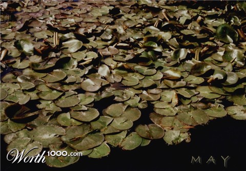 Photography by Mekeda
