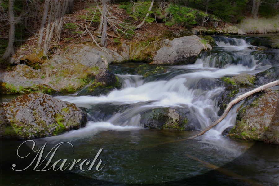 Photography by razzberry for DesignCrowd (Community Contests) | Design #9006938