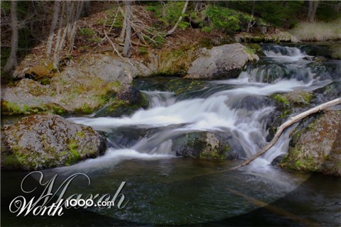 Photography by razzberry