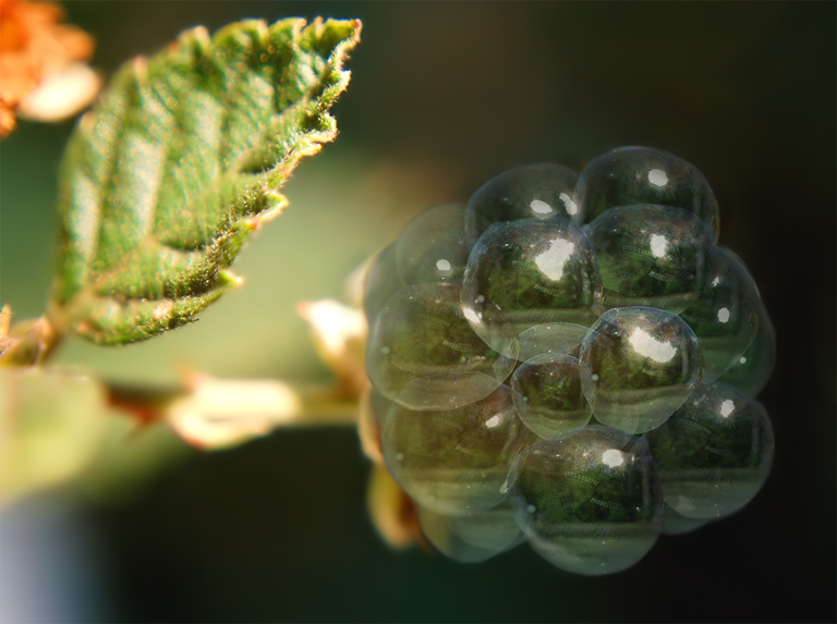 Design Photoshop par 1000gb pour DesignCrowd (Community Contests) | Design #9013183