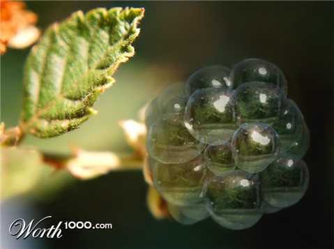 Photoshop Design by 1000gb