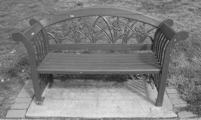 Photography by kelaltieri for DesignCrowd (Community Contests) | Design #9007859