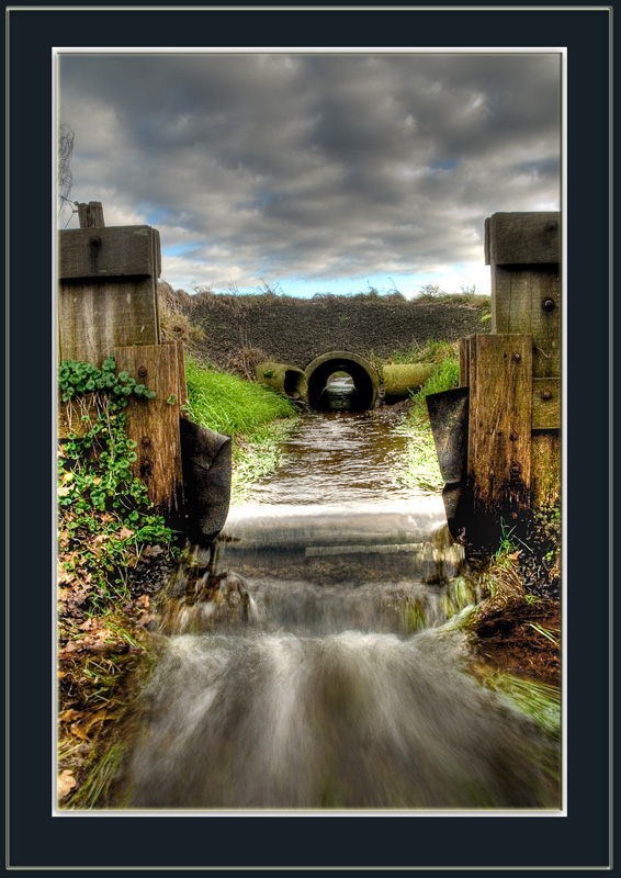 Fotografía por Marian para DesignCrowd (Community Contests) | Diseño #9015308