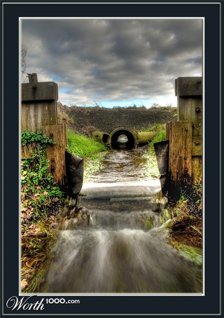 Photography by Marian