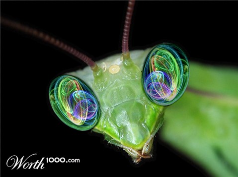 Photoshop Design by RickLaMesa