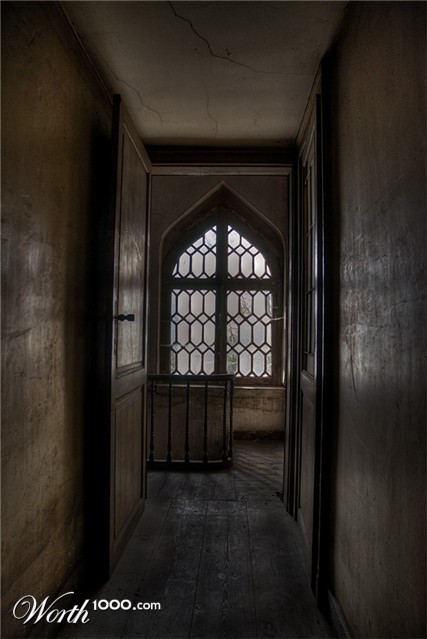 Photography by shluhzor