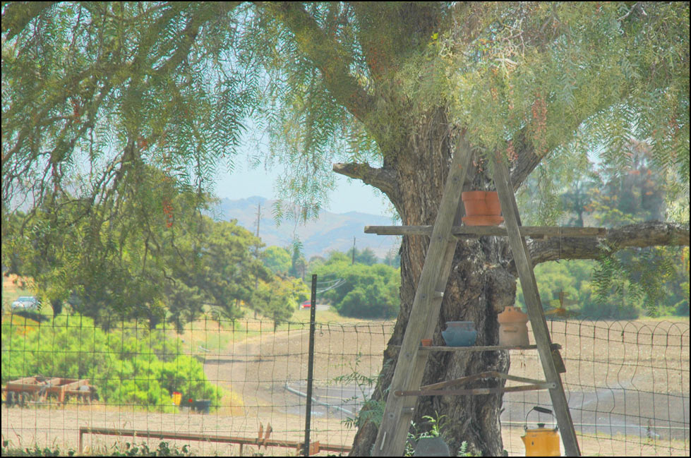 Photography by Larvice for DesignCrowd (Community Contests) | Design #9015339