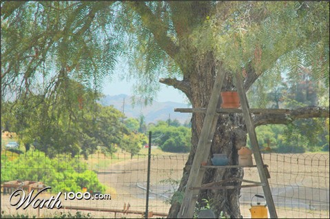 Photography by Larvice