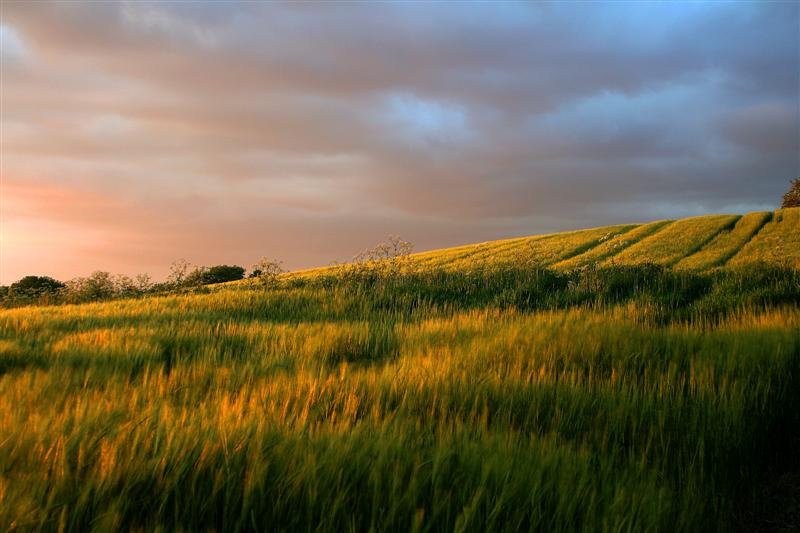 Fotografie von AceClown für DesignCrowd (Community Contests) | Design #9015323