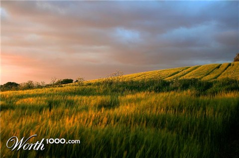 Photography by AceClown