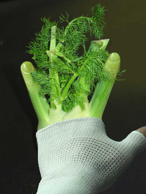 Photoshop Design by conmword for DesignCrowd (Community Contests) | Design #9011104