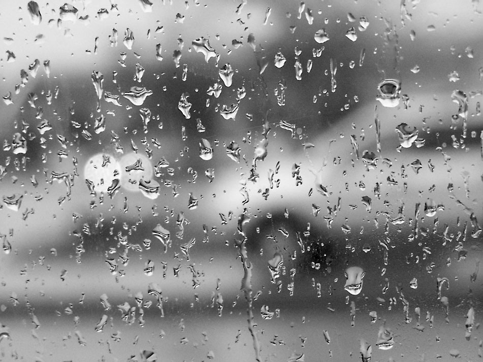 Photography by Hickster81 for DesignCrowd (Community Contests) | Design #9009193